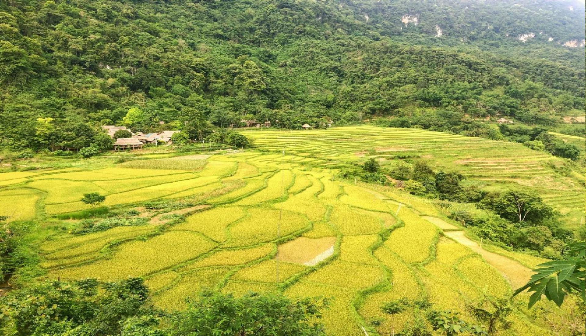 Pu Luong Homestay & Tours Huong Ba Thuoc Eksteriør billede